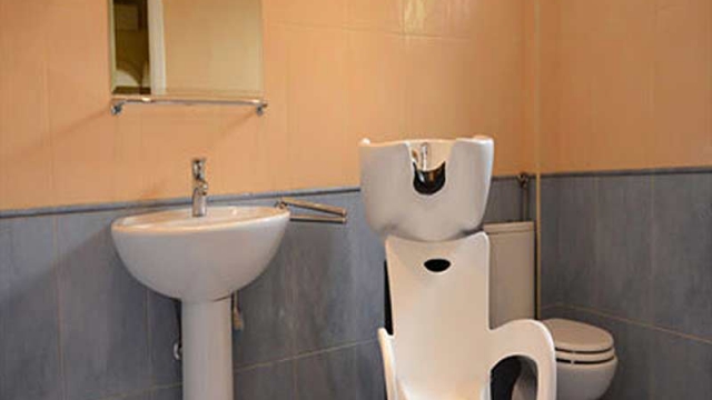 dom za stare harmonija