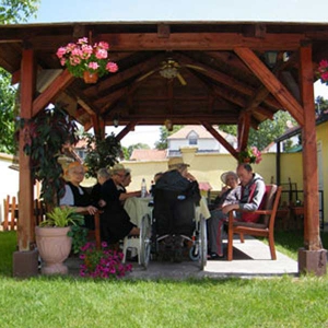 dom za stare harmonija